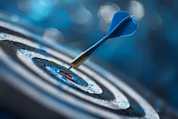 5字白山茶的含义